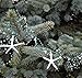 Beach Decor Nautical Beaded Starfish Garland - White Starfish Decorative Garland - 5FT TEAL