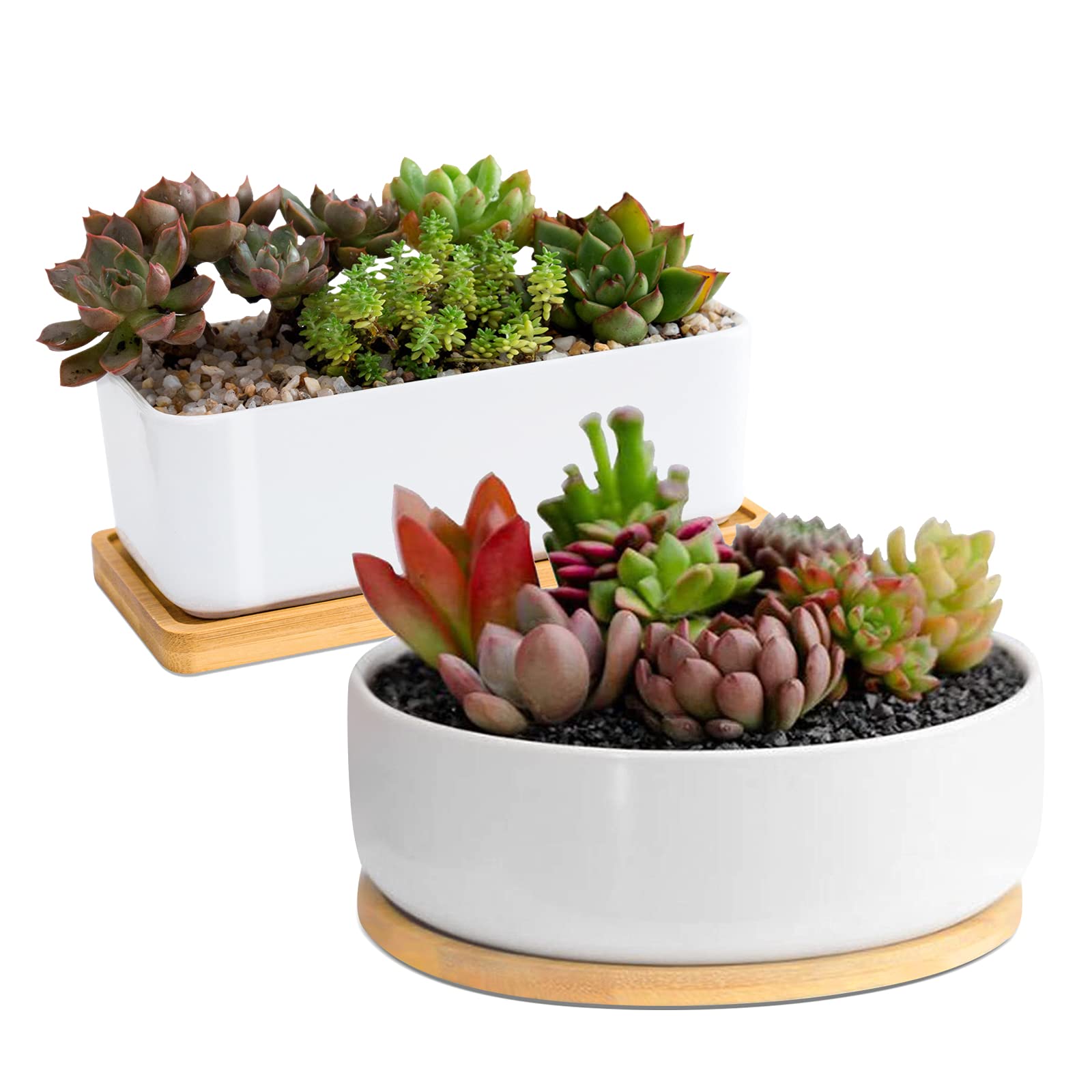 ARVINKEY White Ceramic Succulent Plant Pots, 1 Rectangular Flower Pot + 1 Round Planter, Set of 2 Small Cactus Container, Bonsai Pots, Flower Pots with Drainage Hole& Bamboo Tray (No Plant)