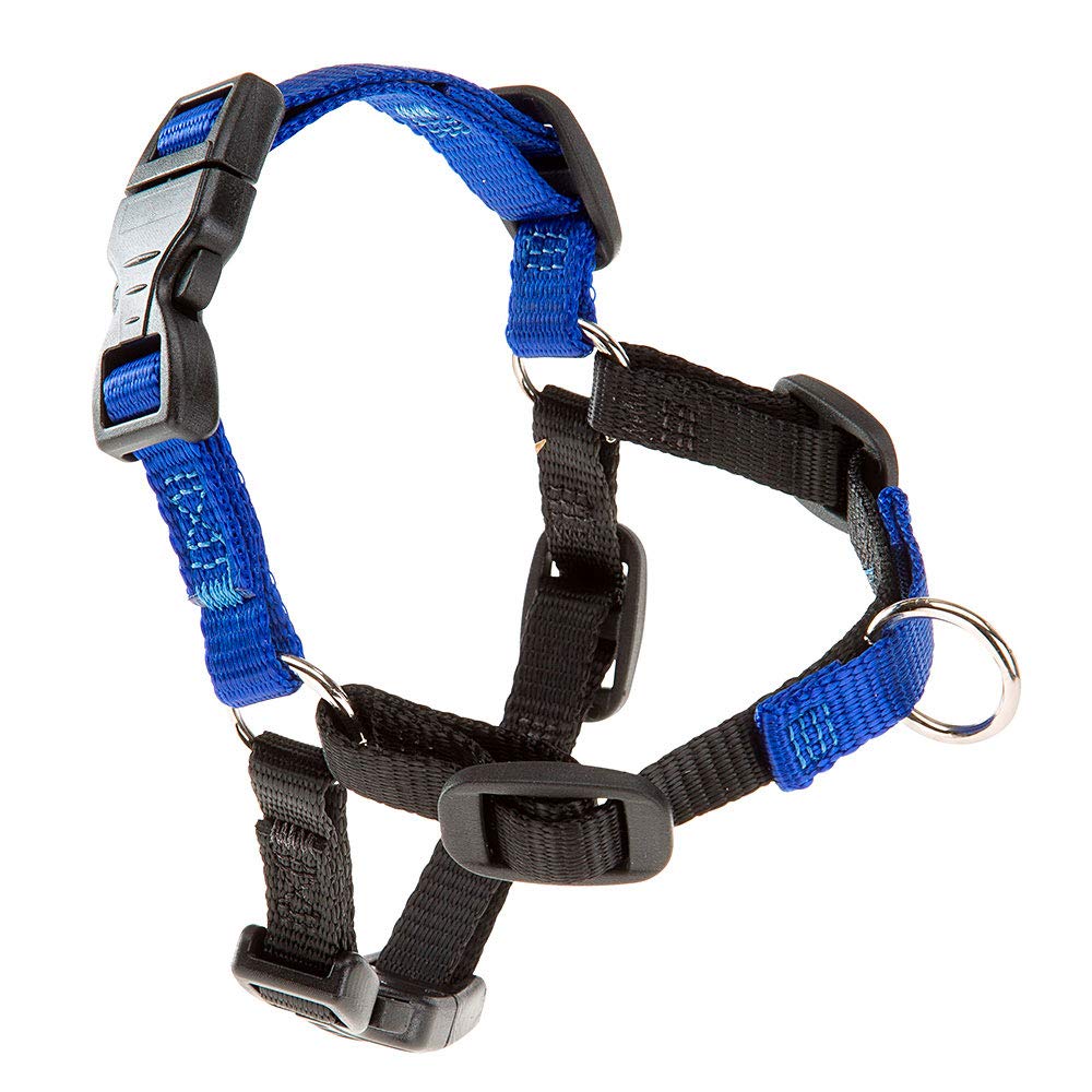 Ferplast COACH Harness for Medium Dog, Training Dog Harness Prevents Pulling During Walks, Maximum Dog Control, Chest 42-59 cm.