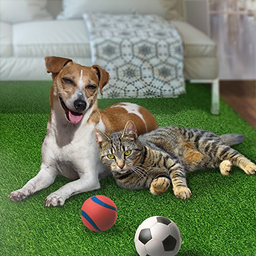 SavvyGrow Artificial Grass for Dogs Pee Pads Premium 4 Tone Puppy