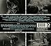 STRAIGHT TO DVD II: PAST PRESENT & FUTURE HEARTS