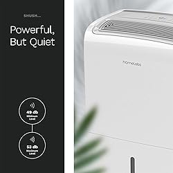 hOmeLabs 4000 Sq. Ft. Dehumidifier with Pump