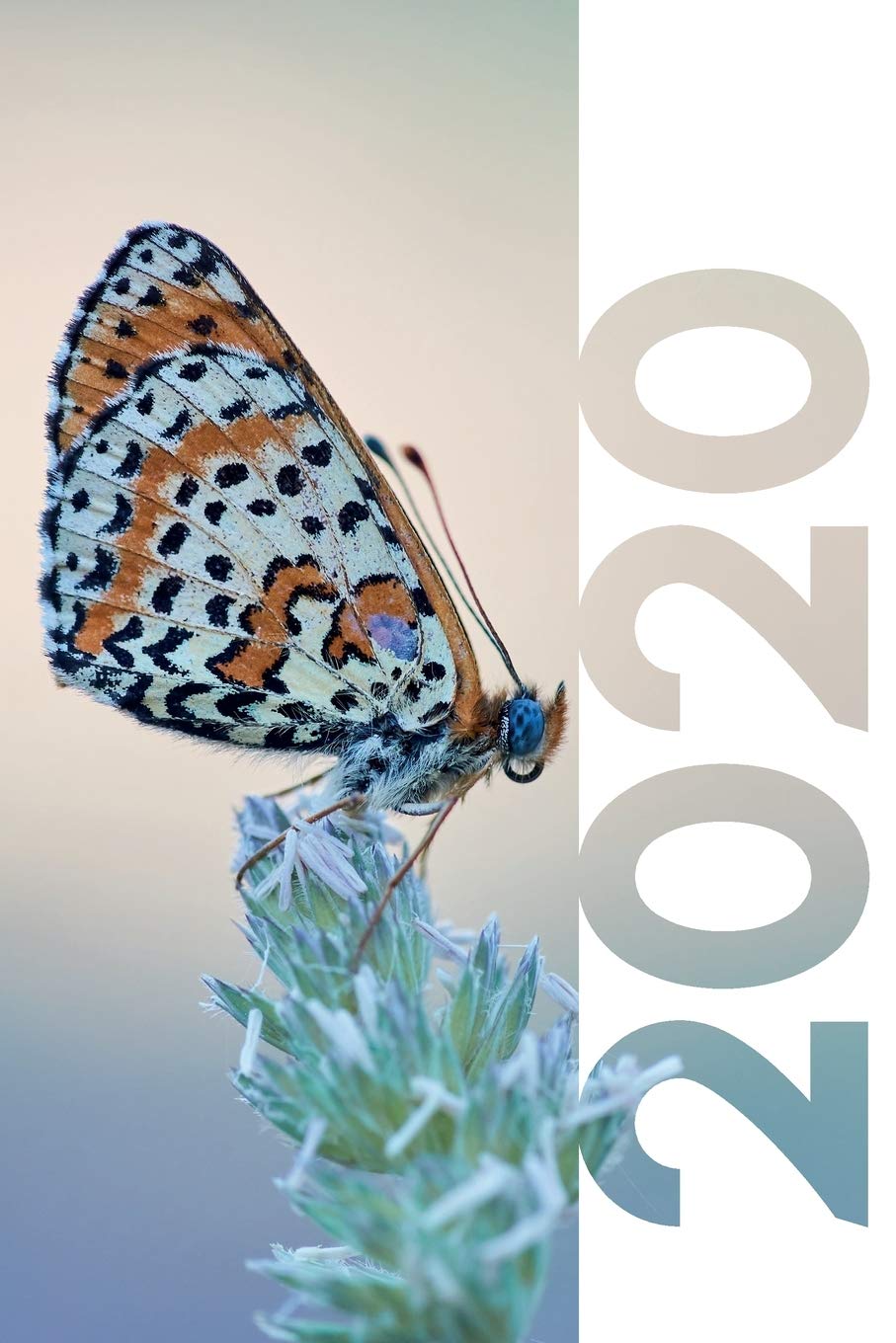 great gifts for insect lovers