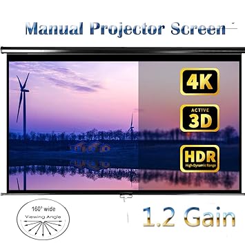 Projection Screens Wall Ceiling Mounted Movie Screen Projector