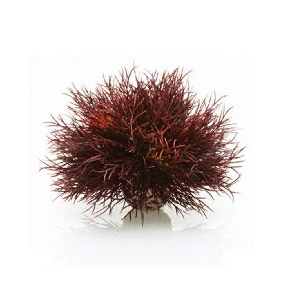 biOrb Fish Tank Decorations, Aquatic Sea Lily Plant With Weighted Ball (1 x Red Aquarium Plant), Artificial Fish Tank Plants To Add Colour, Natural-Looking Aquarium Decor For Scenic Background