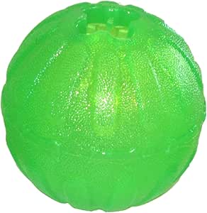 everlasting ball dog toy