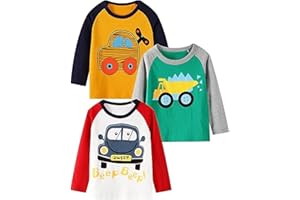 BIBNice Toddler Boy Long Sleeve Shirts Kids Cotton Fall Top Crewneck Clothes 2-7 Years