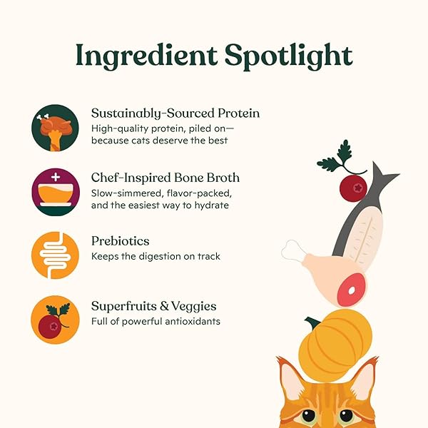 MADE BY NACHO PREMIUM MINCED WET CANNED CAT FOOD WITH HYDRATING BONE BROTH 5.5OZ (12 PACKS) (VARIETY PACK (TURKEY & TURKEY LIVER, CHICKEN & HERRING, AND SALMON & SOLE))