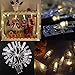 Fairy LED Photo Clips Lights - 30 Battery Operated String Lights for Hanging Artwork, Memos, Paintings - Bedroom, Dorm, Home Decor (Warm White)