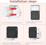 Dunear 256GB USB Flash Drive & Outlet Mount for Blink Sync Module 2 view 7