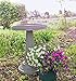Bloem BB2-10 Grecian Bird Bath with Pedestal, 24