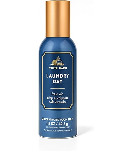 Amazon.com: Bath & Body Works Laundry Day Concentrated Room Spray