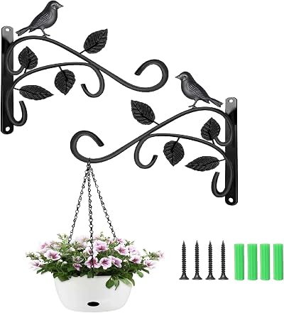 FunPlay Hxeilzge 2 Packs Plant Hanger Brackets 12 Inch Iron Wall Hooks