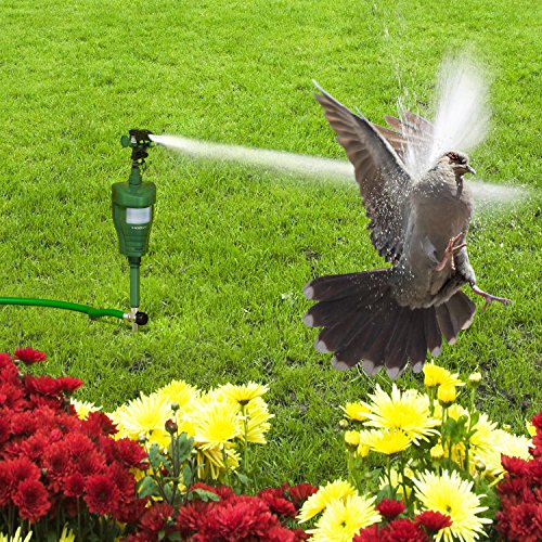 Hoont Cobra Powerful Outdoor Water Jet Blaster Animal Pest Repeller, Motion Activated, Expels Cats, Dogs, Squirrels, Birds, Deer, Etc. Out of Your Property (Upgraded Version)