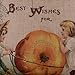 LINKWELL Thanksgiving Pillow Cover 18x18, Farmhouse Pumpkin Decorative Pillow Cover, Fall Decor for Home Indoor, Autumn Cushion Pillowcase for Sofa Couch CC862
