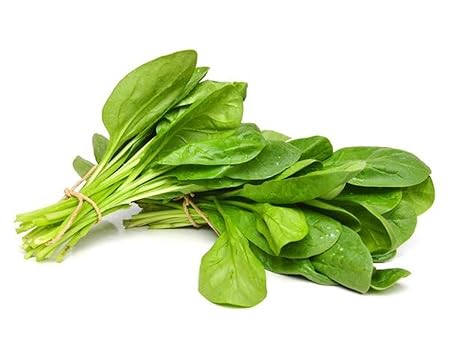 AllThatGrows Spinach/Palak Vegetable Seeds - Pack of 100 Seeds