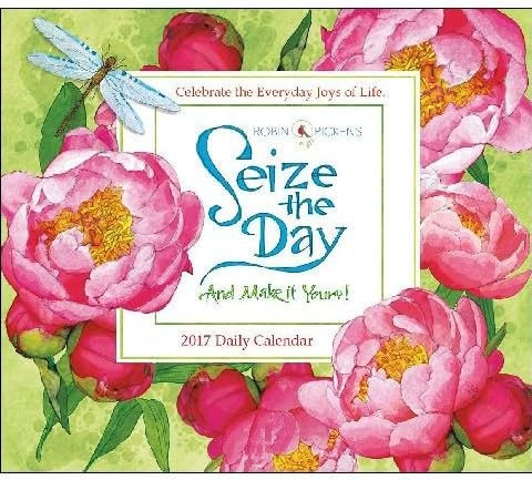 2017 Seize the Day Daily Desk Calendar - 6 x 5 inches
