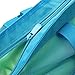 VWELL Mesh Beach Bag Insulated Picnic Cooler Beach Tote Bag for Women with Zipper Top