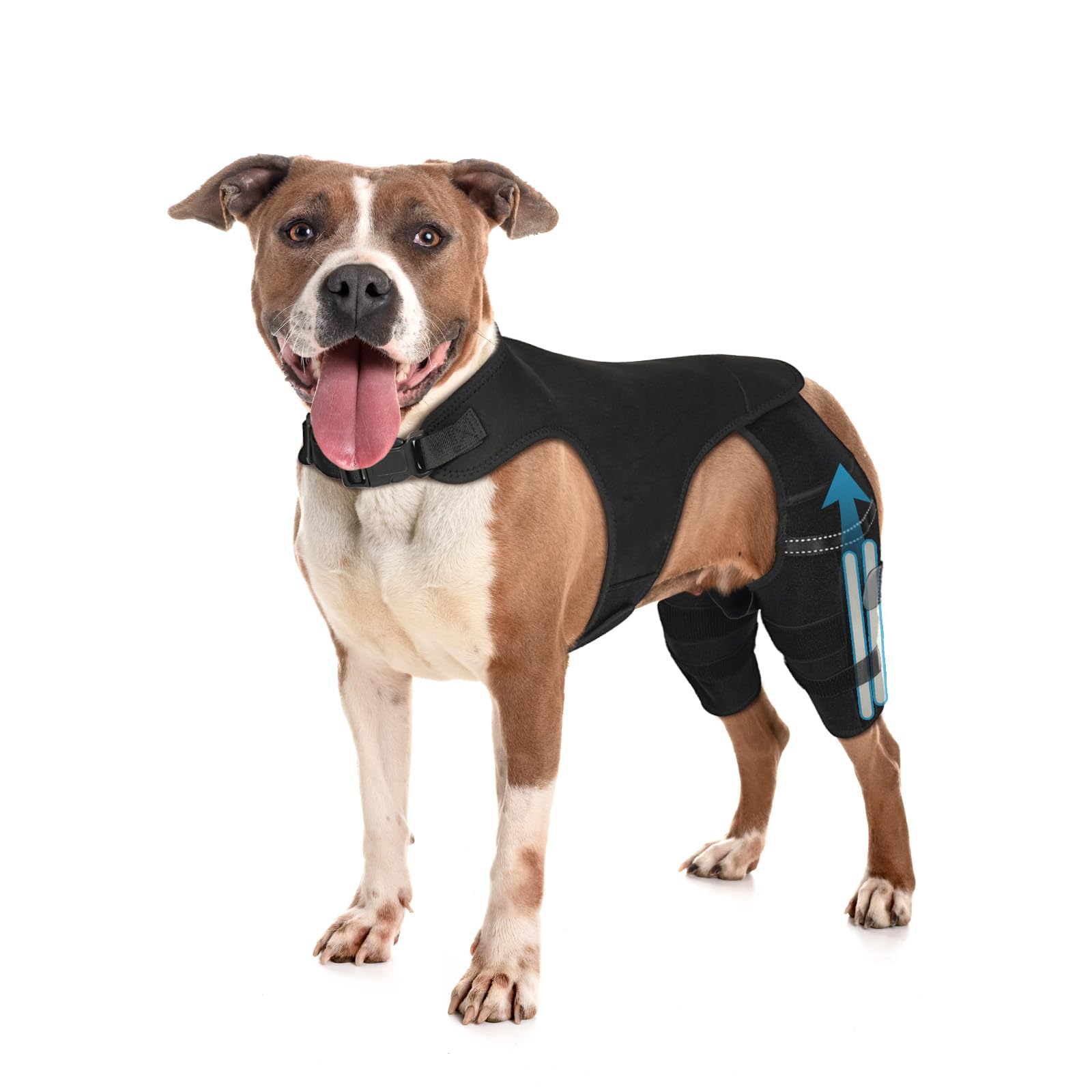 Photo 1 of Pawfun Dog Knee Brace for Hind Leg – Adjustable Dog Rear Leg Support Brace with 4 Metal Stabilizers, Helps with Torn CCL, Luxating Patella, Ligament Injuries, Hip Dysplasia,L