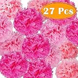 PAXCOO 27 pcs Tissue Paper Pom Poms Flowers for