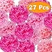 PAXCOO 27 pcs Tissue Paper Pom Poms Flowers for Valentine's Day Wedding Birthday Party Decoration