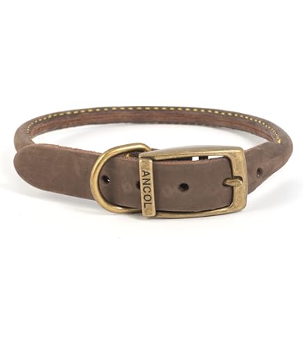 Coastal Pet Products 2208 Leather Latigo Round Dog Collar, 1 by 24