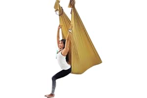 Wellsem Deluxe L:5.5 Yards W:3 Yard Pilates Yoga Flying Swing Aerial Yoga Hammock Silk Fabric for Yoga Bodybuilding(5mx2.8m)