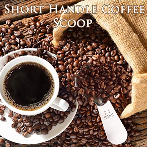 KONUNUS 3 Piece Stainless Steel Coffee Scoops Short Handle Scoop Coffee Scoop Tablespoon