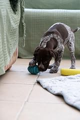 Petface Little Petface Rubber Rugby Treat Ball Dog Toy view 7