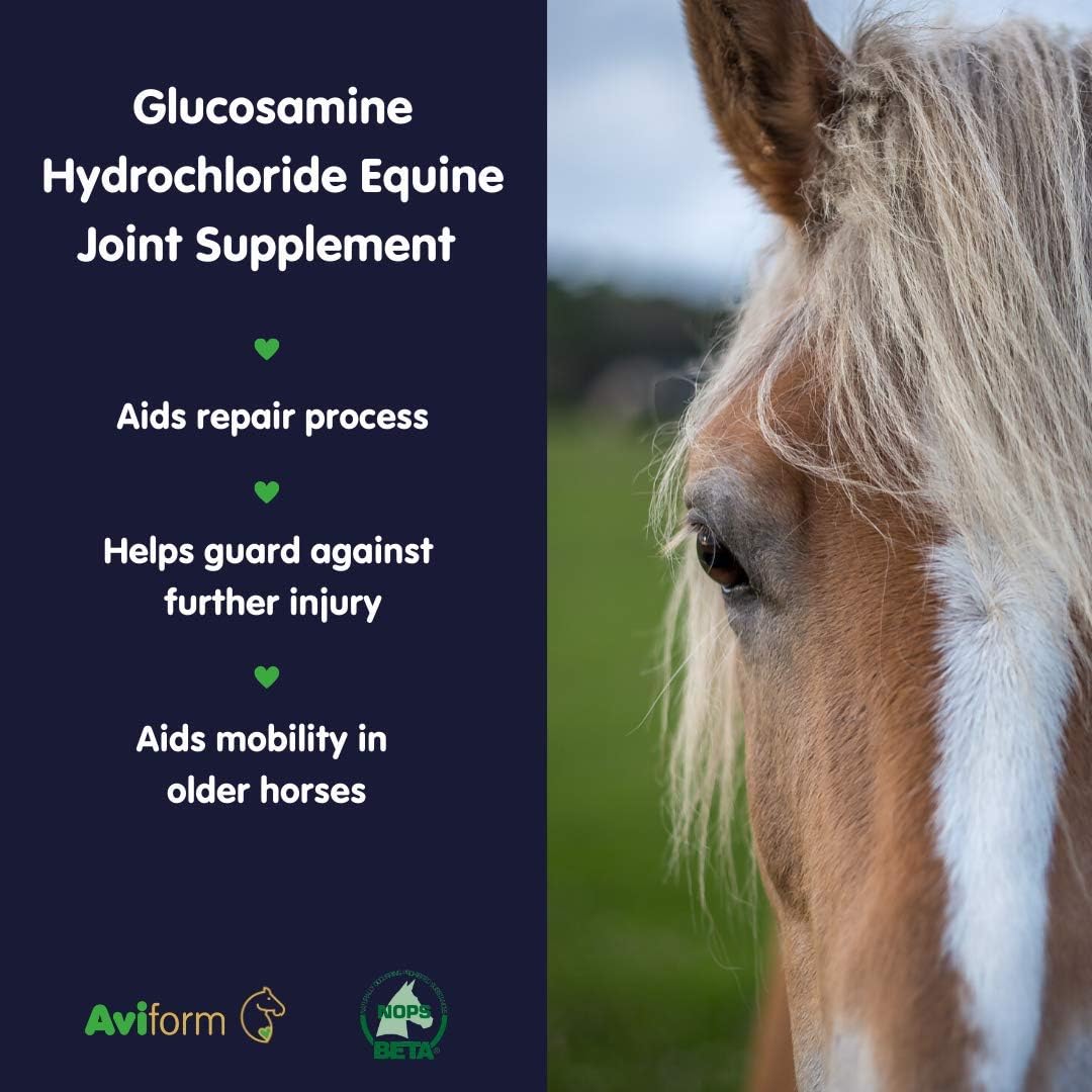 Aviform Glucosamine For Horses this Joint Supplement For Horses