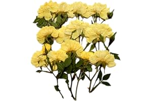 DoraMagic 12 Pcs Nauture Pressed Rose, Real Dried Pressed Flowers for Resin Scrapbook Supplies Card Making Soap Candle DIY Art Crafts (Yellow)
