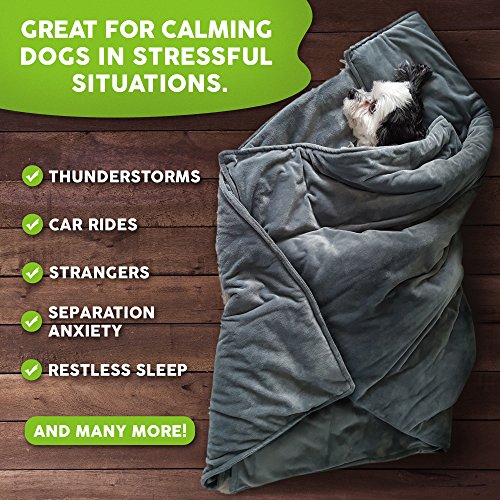Weighted Dog Anti Anxiety Blanket Wrap For Stress Relief and Calming