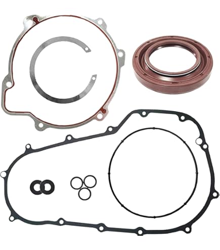 Amazon.com: TOFR Primary Cover Gasket OEM 25700564 for