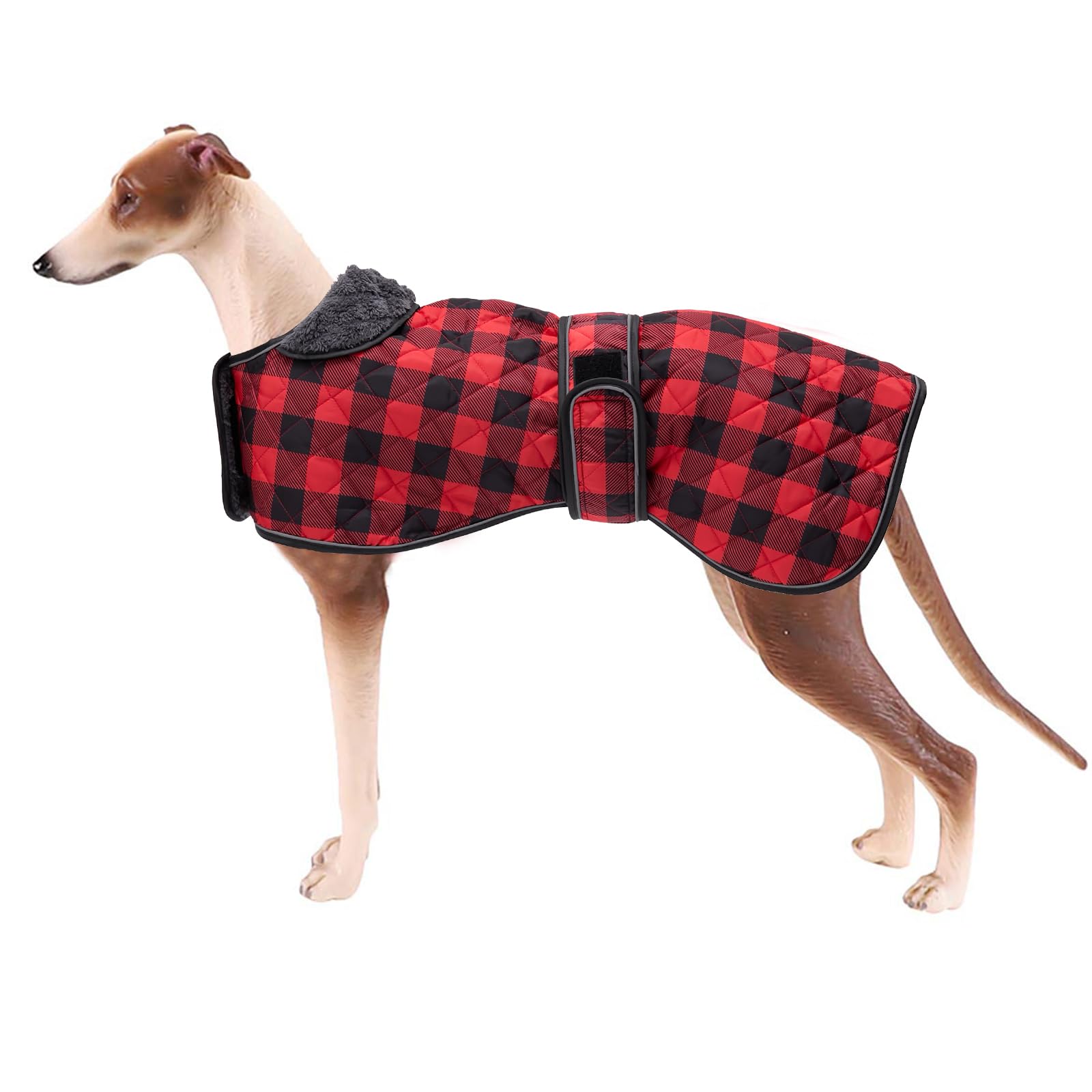 Geyecete Waterproof Greyhound Whippet Lurcher Coat - With Warm Fleecy Lining Inside Outdoor Dog Apparel with Adjustable Bands For Medium, Large - Red-XS — image 1