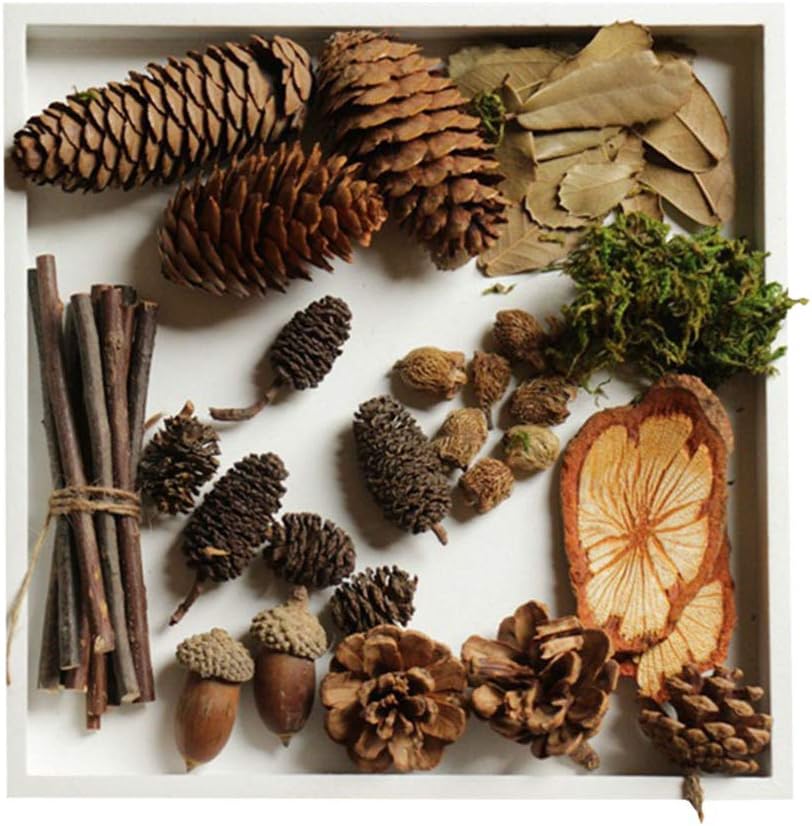 Yardwe 1 Pack of Natural Wood Branches Natural Acorns Pine Cones Leaves
