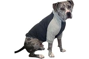 Tooth & Honey Big Dog/Pullover/Large Dog Shirt/Light Weight Shirt/Color Block Shirt/Summer Shirt (Large)