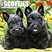 Just Scotties 2018 Calendar