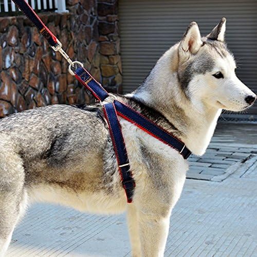 LMM No Pull Denim Dog Training Harness and Leash Set for Small/Medium/Large Dogs, Walking Leash Collar for Large Breed, 4-Feet Long, Supports up to 60 lbs