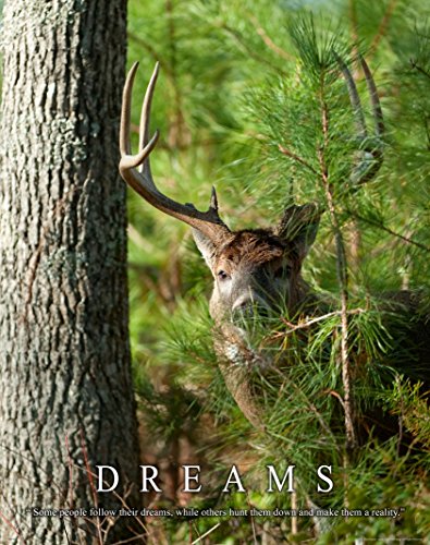 Whitetail Deer Motivational Poster Art Print 11x14 Bow Hunting Buck Commander Wall Decor Pictures