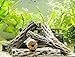 Aquatic Arts 4 Cholla Wood Pieces - Sinkable Aquarium Driftwood/Dried Cactus Branches - Natural Hollow Decorations - Fish Tank/Terrarium Decor