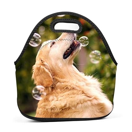 Amazoncom Bubble Dog Shiba Inu Puppy Lunch Bag Box Tote