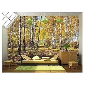 BRAND_NAMEBirch Grove in Autumn Forest