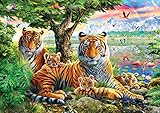 Buffalo Games - Amazing Nature Collection - Hidden Tigers - 500 Piece Jigsaw Puzzle