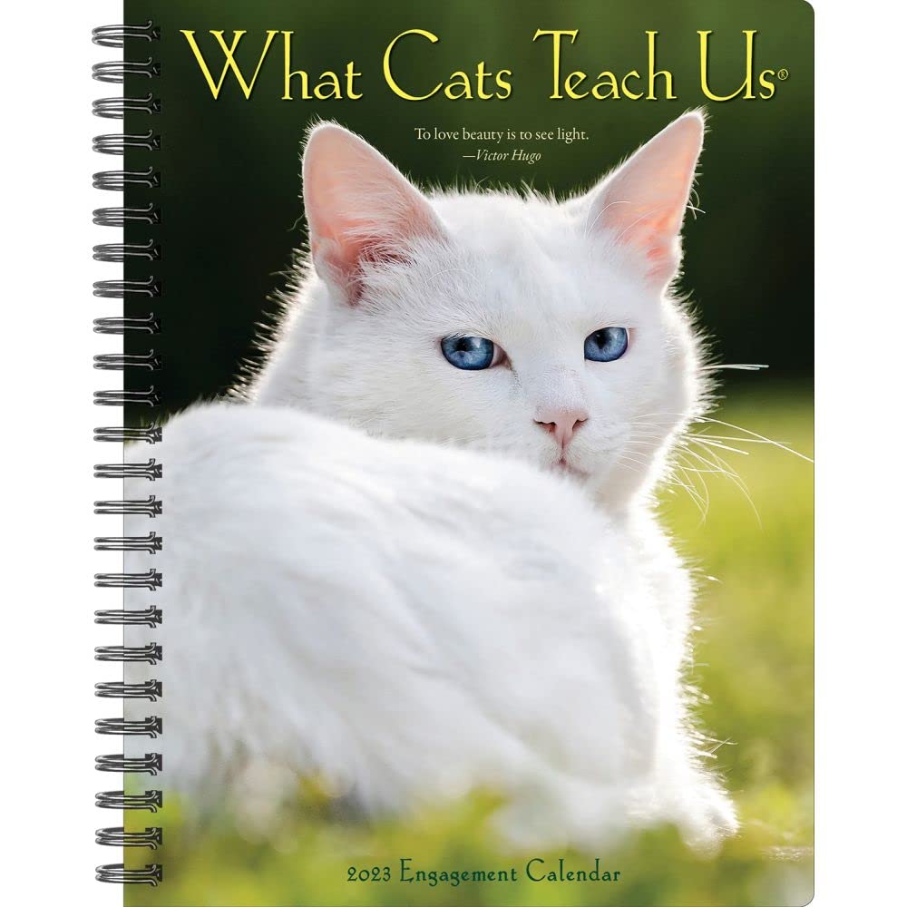 What Cats Teach Us 2023 Engagement Calendar