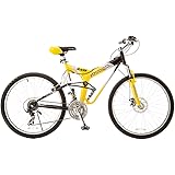titan punisher bike