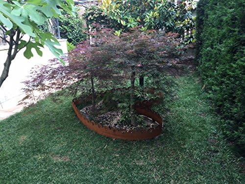 Bordura de acero Corten Modelo lirio: Amazon.es: Jardín
