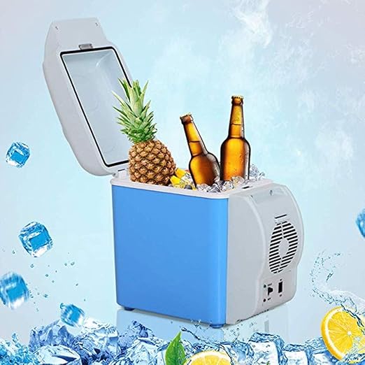 GXRck Nevera portátil, 12V / 220V Nevera portátil con Funciones de ...