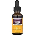 Herb Pharm Thuja Branchlet Liquid Extract - 1 Ounce (DTHUJA01)