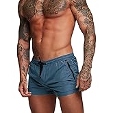 Rexcyril Men's Athletic Gym Workout Shorts 3 Inch Quick Dry Running Bodybuilding Short Shorts with Liner and Zipper Pockets