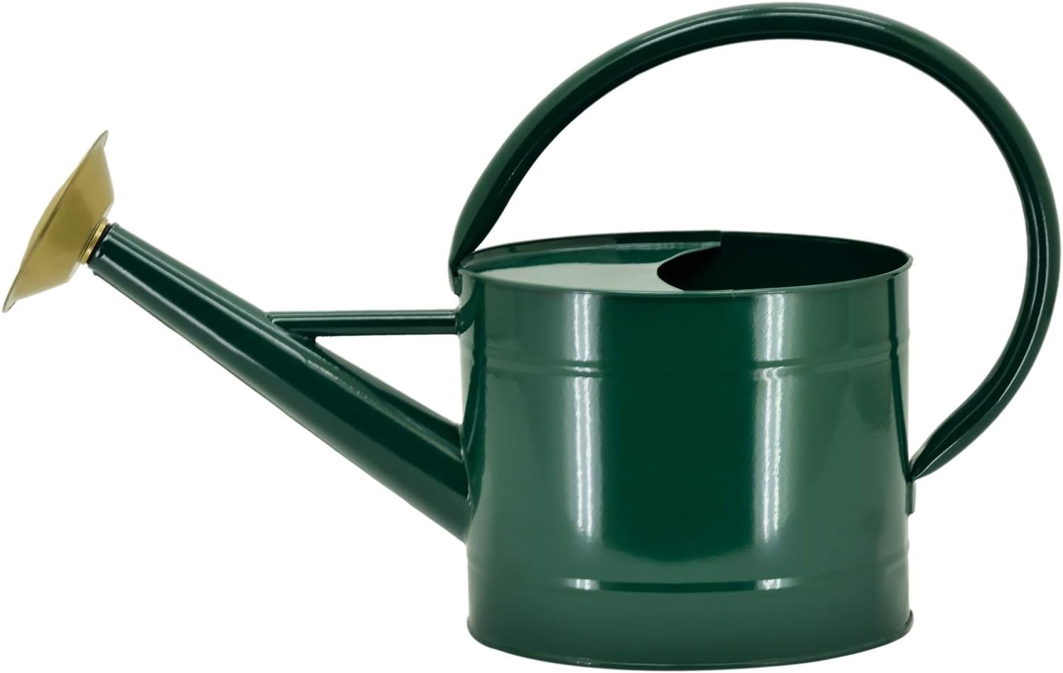 HORTICAN Galvanized Watering Can Modern Style Watering Pot with Handle and Rosehead for Outdoor and Indoor House Plants (1.3 gal/Green) : Garden & Outdoor